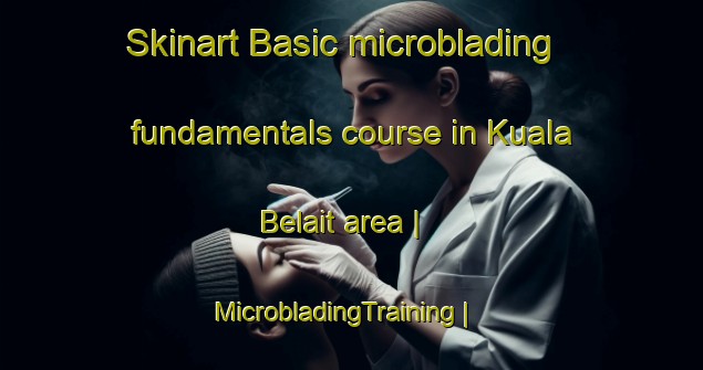 Skinart Basic microblading fundamentals course in Kuala Belait area | MicrobladingTraining | MicrobladingClasses | SkinartTraining-Brunei Darussalam
